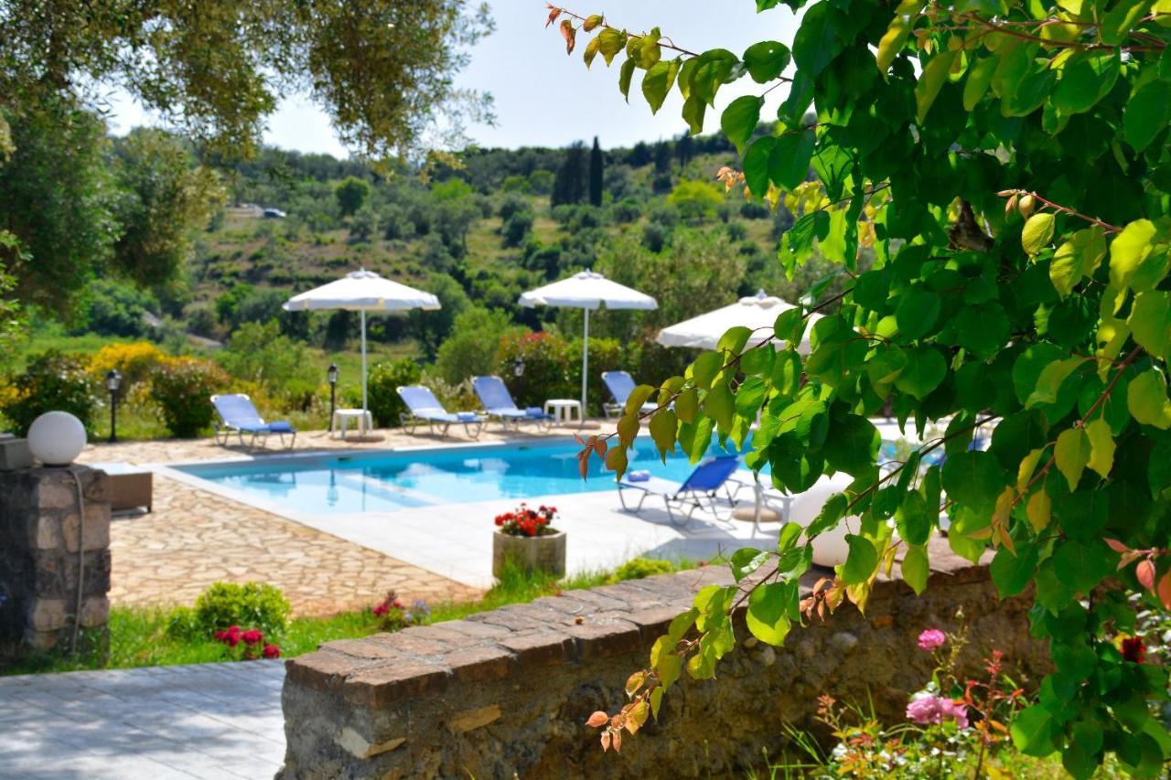 Jazz Rock With Large Private Pool * Gouvia